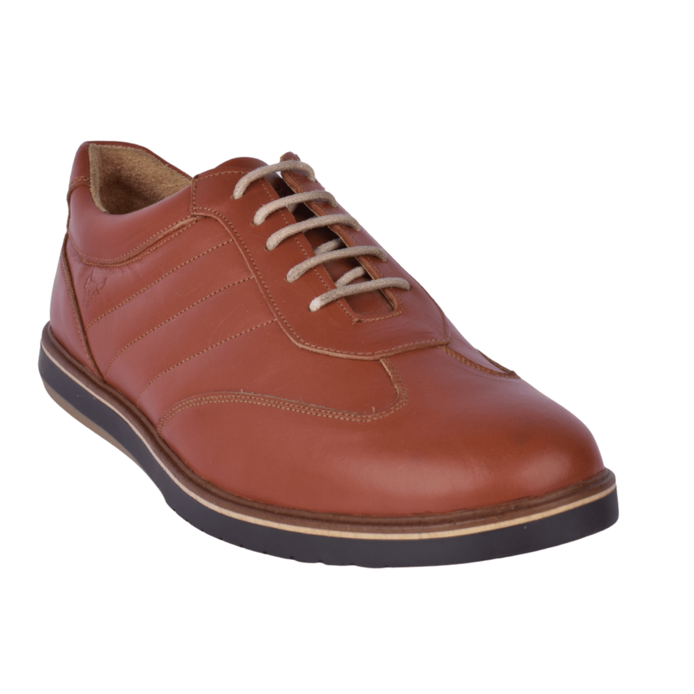 Luxury classic leather shoe