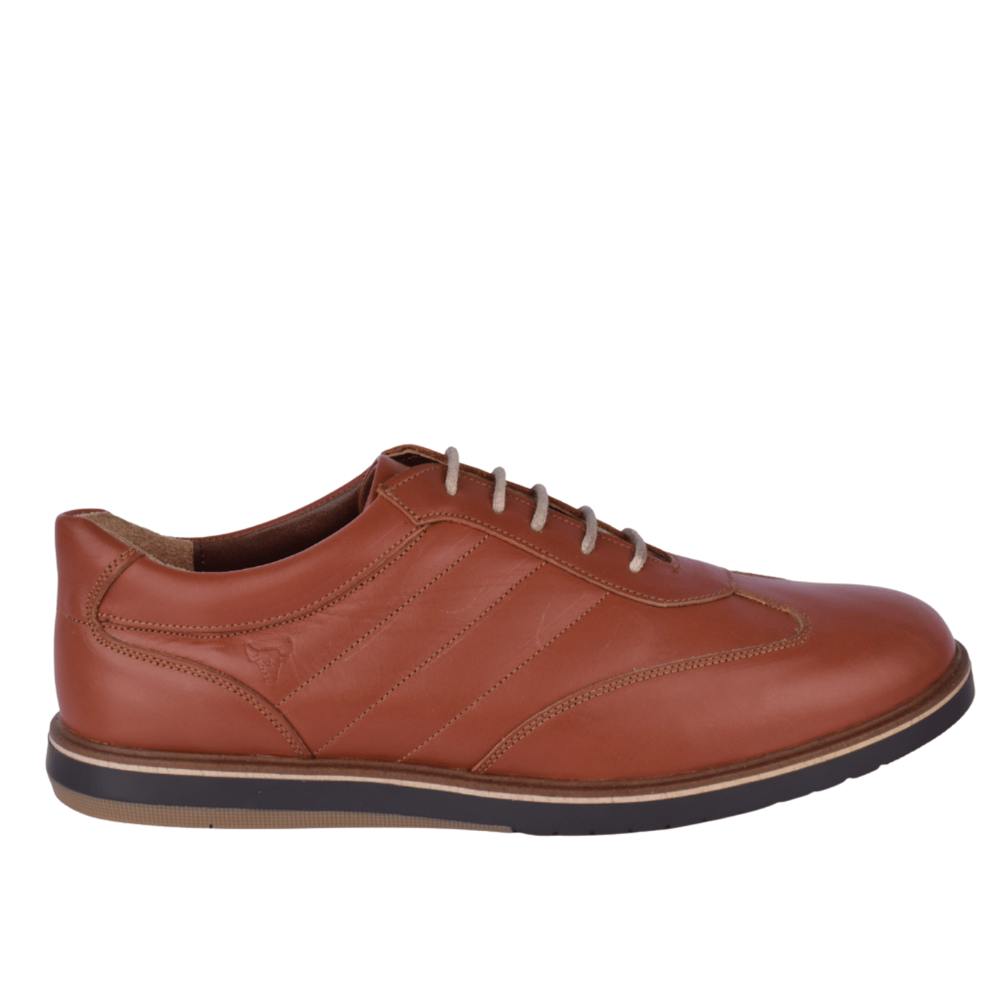 Luxury classic leather shoe